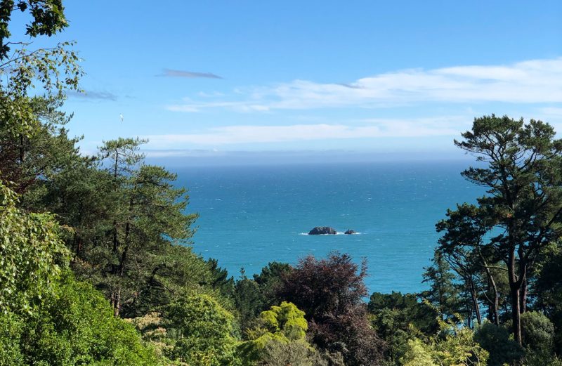Photo of the South Devon coastline